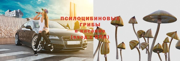 гидропоника Алзамай