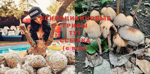 гидропоника Алзамай