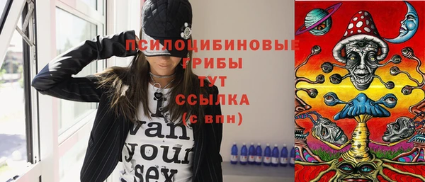 spice Алексеевка