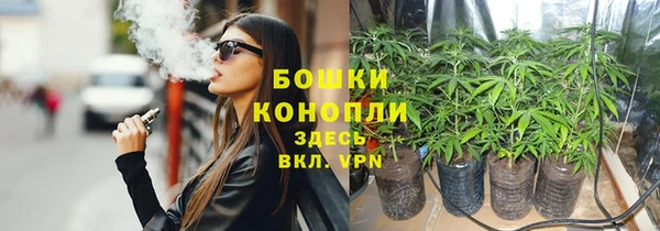 spice Алексеевка