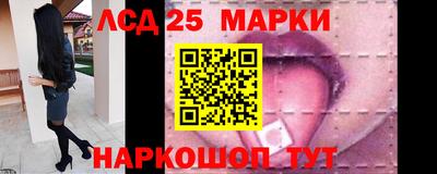 скорость Заволжье